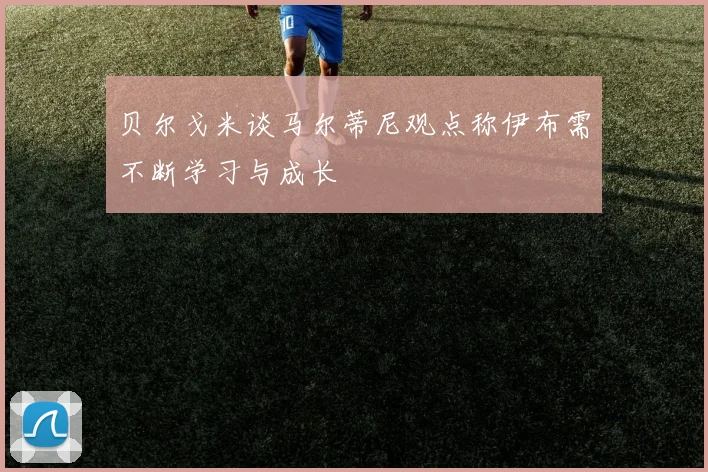 贝尔戈米谈马尔蒂尼观点称伊布需不断学习与成长